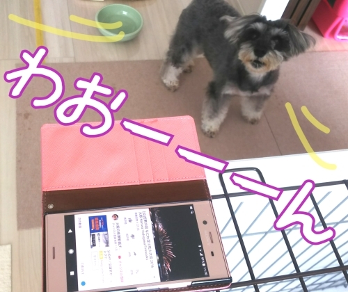 トレーニングブログ_f0357682_02062448.jpg