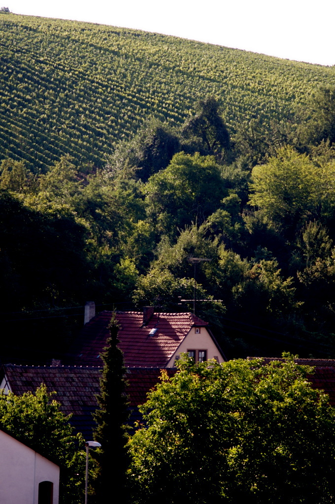 c0180686_05501393.jpg