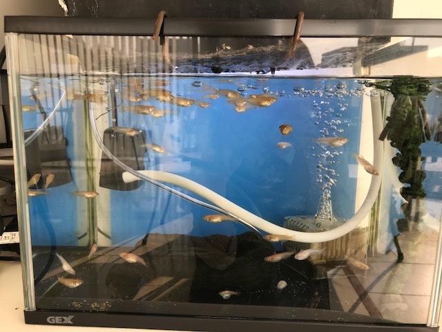 8月休園日のご案内_b0263390_09365151.jpg