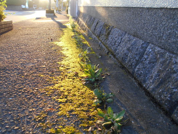 f0375290_07515927.jpg