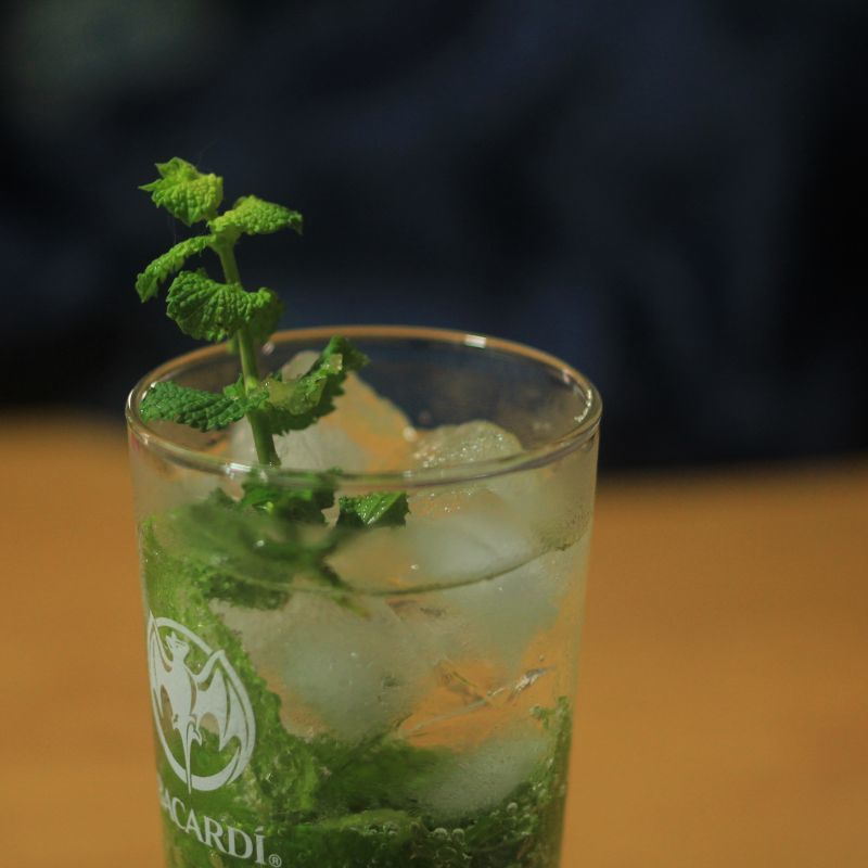 Mojito モフィート ボ ボ 僕らは釣れない中年団 Ver 1 Mojito モフィート ボ ボ 僕らは釣れない中年団 Ver 1