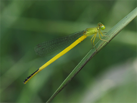 b0053192_16564077.gif