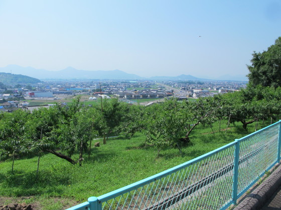 a0166196_15164446.jpg
