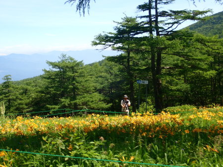 e0120896_07430782.jpg