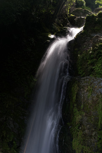 e0366896_23012438.jpg