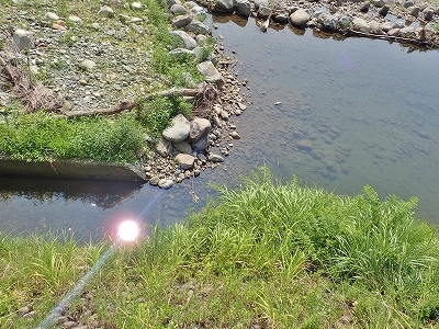 魚野川の水位がピンチです！_c0336902_19572438.jpg