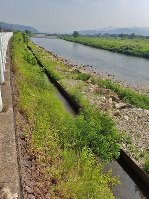 魚野川の水位がピンチです!_c0336902_19572934.jpg