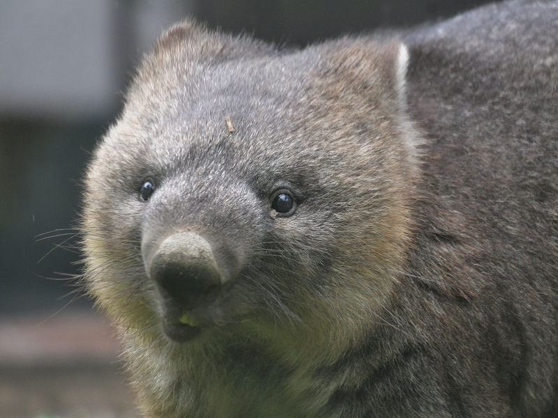 ワインと雨の動物園_a0164204_10222202.jpg