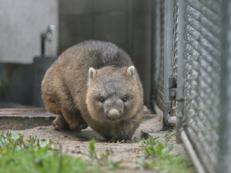 ワインと雨の動物園_a0164204_10413408.jpg