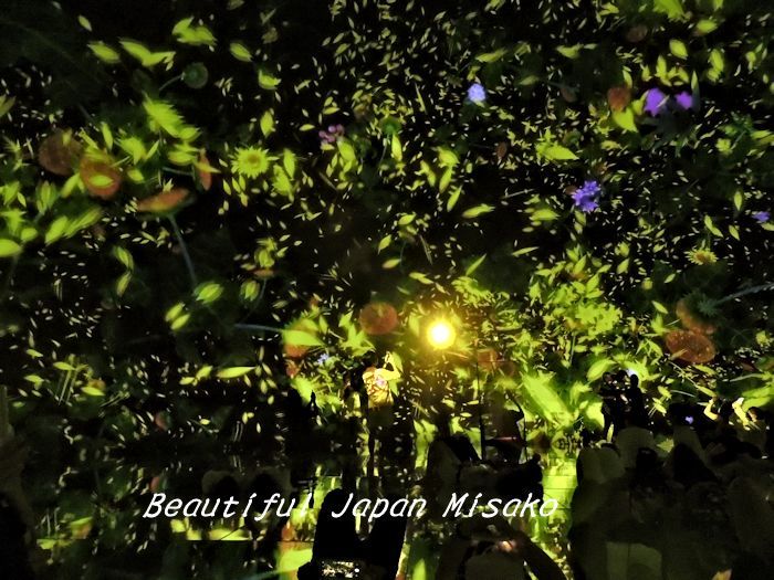 夜空は花で溢れてた～☆､･：`☆･･ﾟ･ﾟ☆。豊洲プラネッツ - Beautiful Japan 絵空事