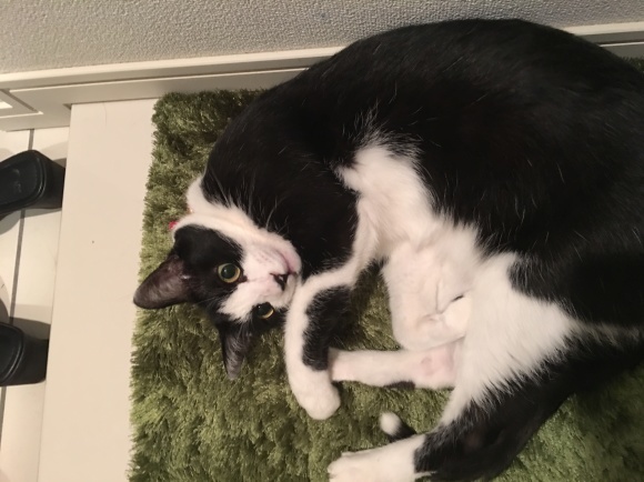 c0109109_19530293.jpeg