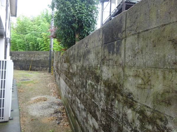 f0231709_11523713.jpg
