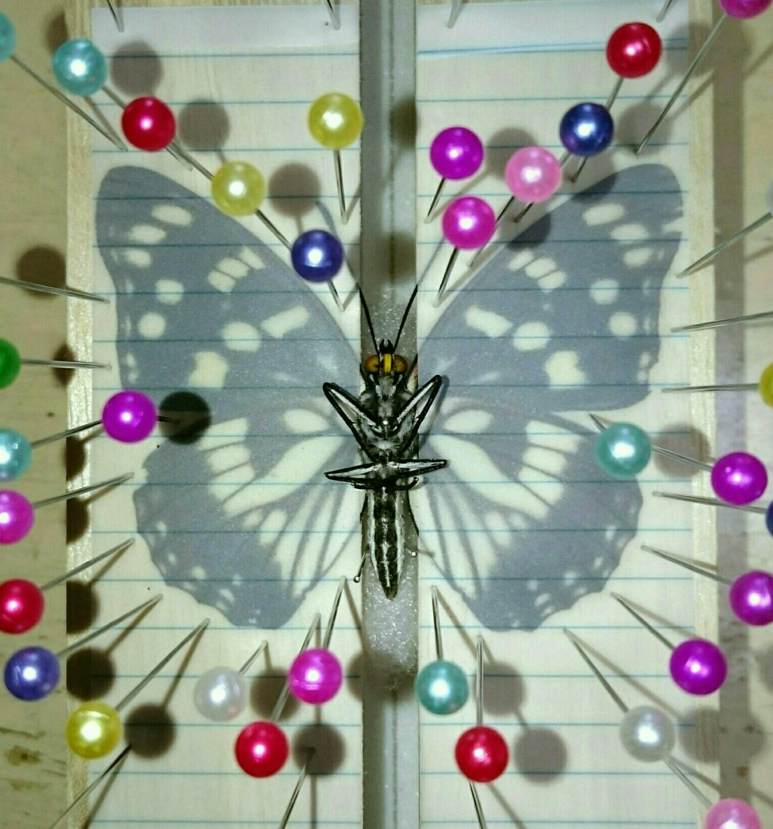 a0361610_15145483.jpg