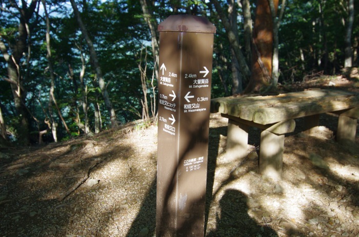 f0195813_21055920.jpg