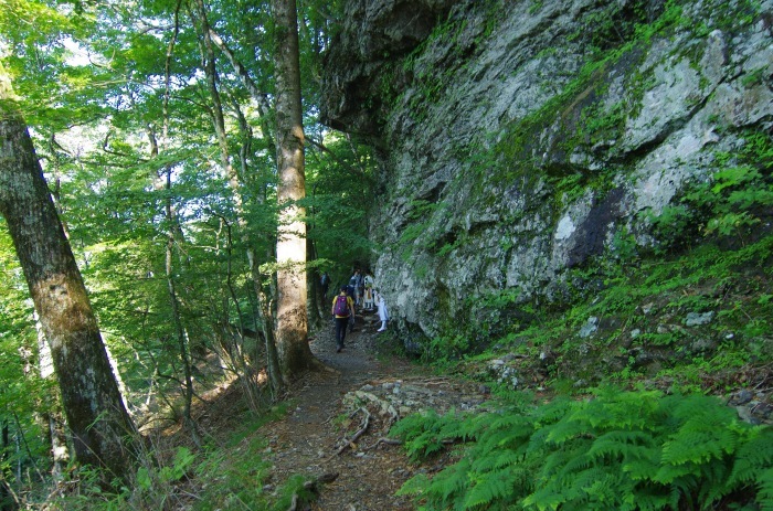 f0195813_21074205.jpg
