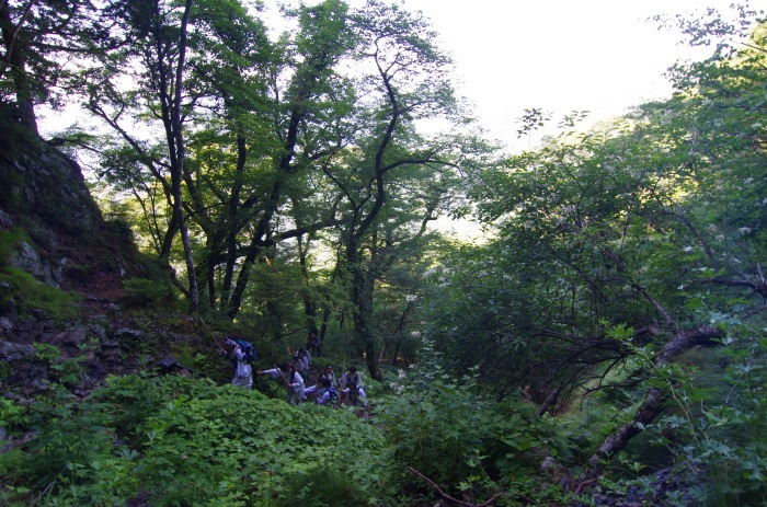 f0195813_21074474.jpg
