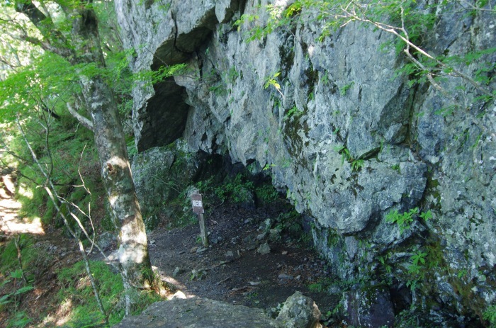 f0195813_21074546.jpg