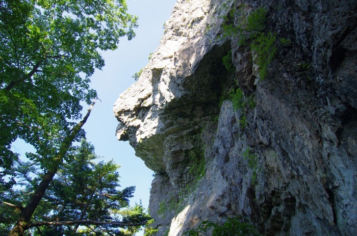 f0195813_21075877.jpg