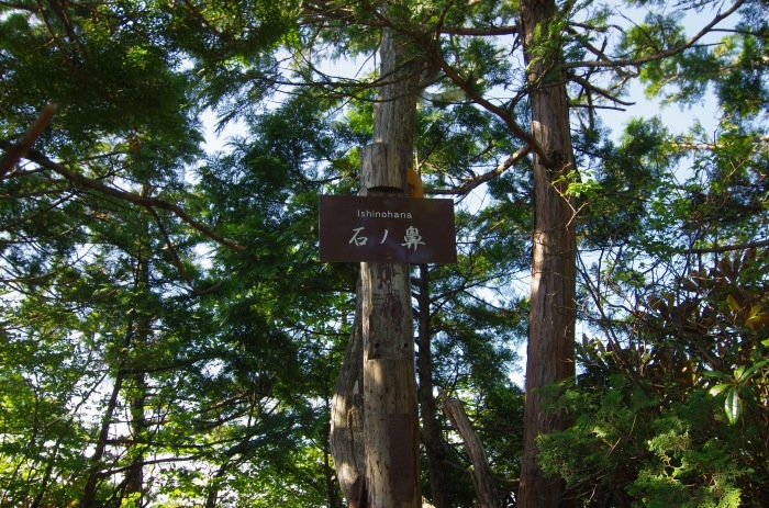 f0195813_21080711.jpg