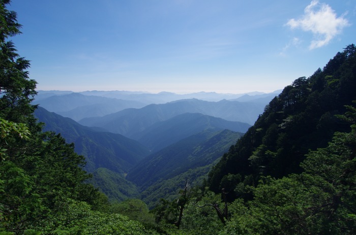 f0195813_21081966.jpg