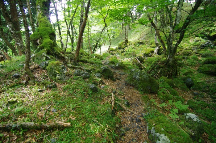 f0195813_21092374.jpg
