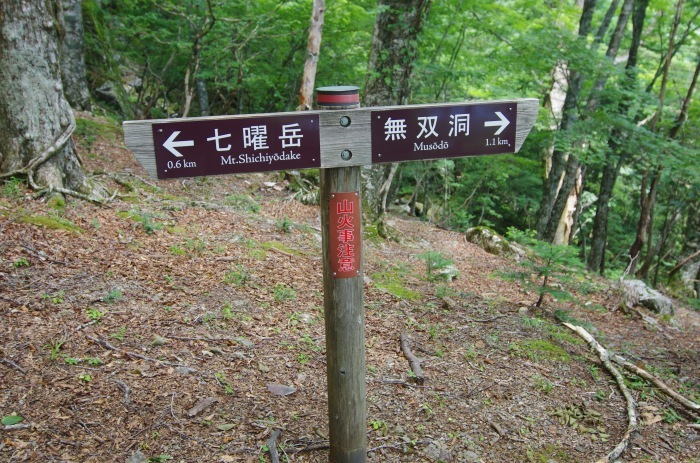f0195813_21094393.jpg