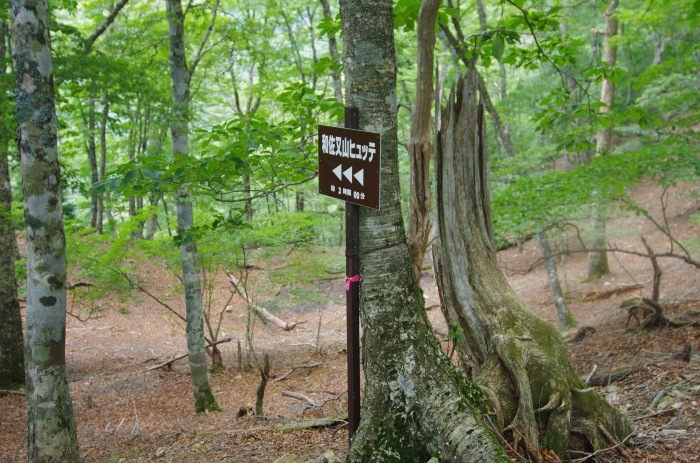 f0195813_21094431.jpg