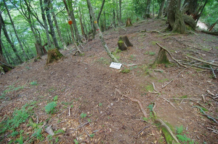 f0195813_21095261.jpg