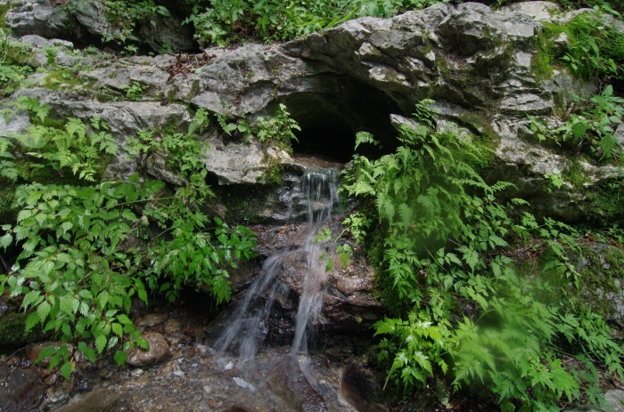 f0195813_21100408.jpg