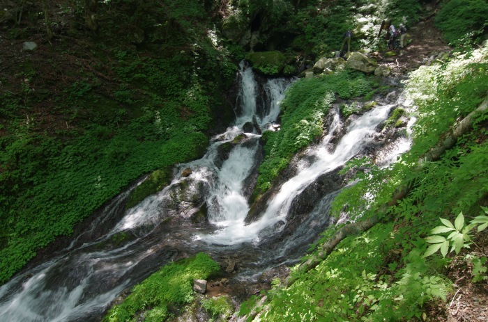f0195813_21100550.jpg