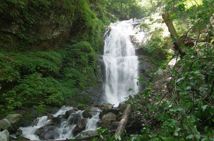 f0195813_21100766.jpg