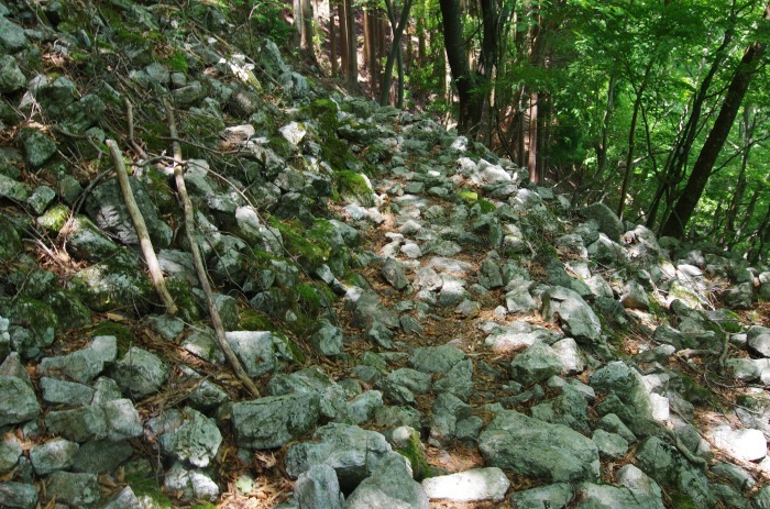 f0195813_21102059.jpg