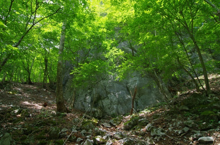 f0195813_21102210.jpg