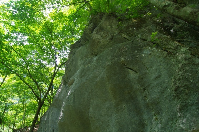 f0195813_21105987.jpg