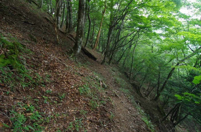 f0195813_21111452.jpg