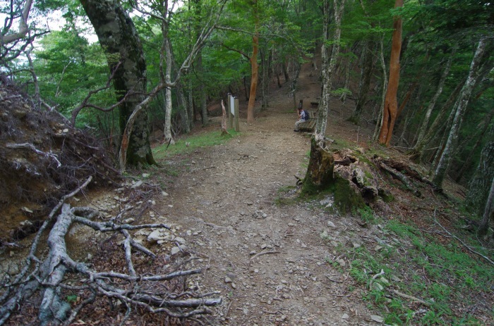 f0195813_21113067.jpg