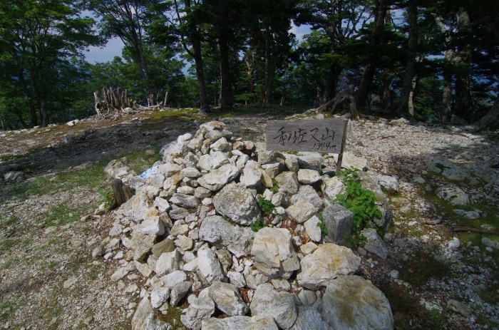 f0195813_21114457.jpg