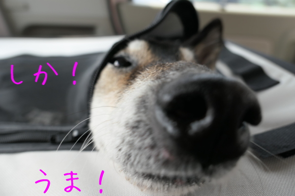 病院へ 血尿 Hamasumi Life 病院へ 血尿 Hamasumi Life