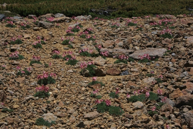 e0242721_08145245.jpg