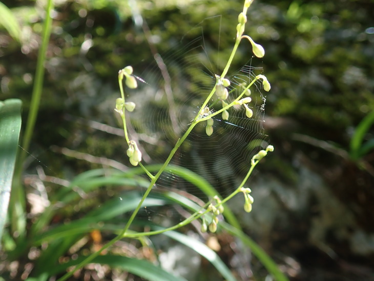 f0193521_11323787.jpg