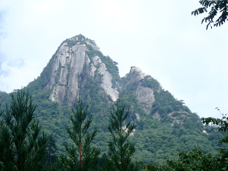 f0193521_1435206.jpg