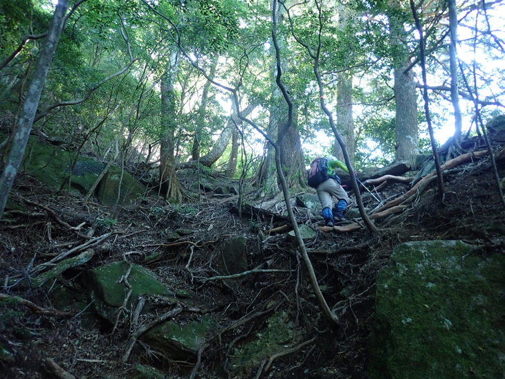 f0193521_534272.jpg