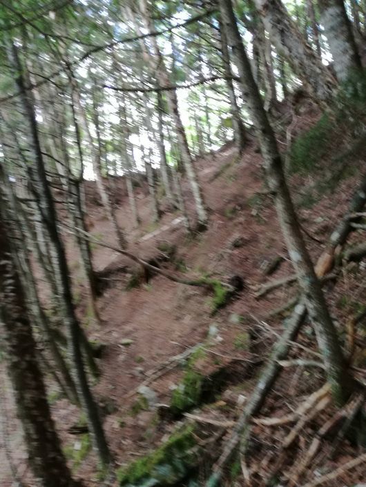 c0162128_15090266.jpg
