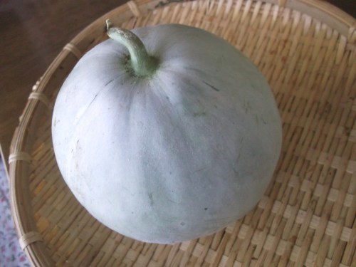 夏野菜は..次々と終了_b0137932_22112929.jpg