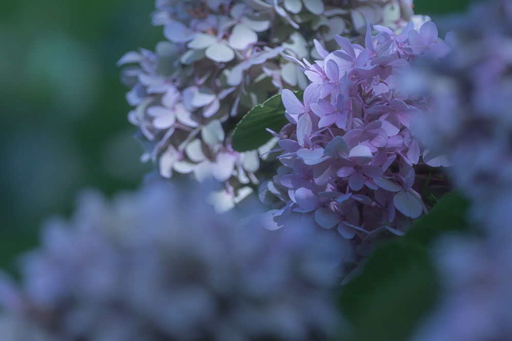 f0237034_21171264.jpg