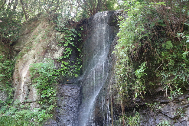 e0272335_5342097.jpg