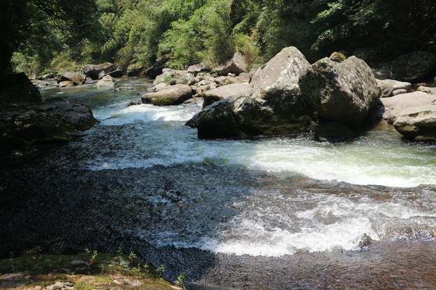 e0272335_5404849.jpg