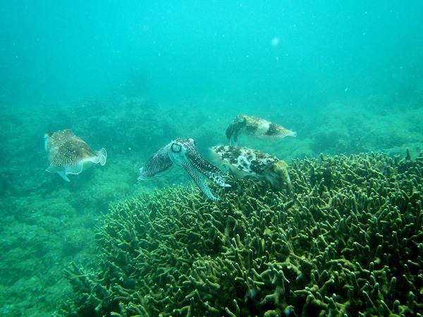 c0100239_09374048.jpg
