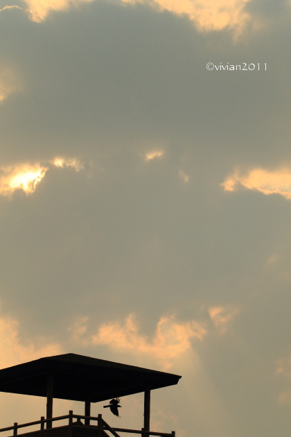 トリック写真に挑戦中_e0227942_21413296.jpg