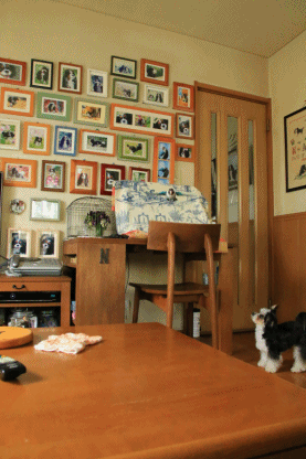 c0145250_11324795.gif